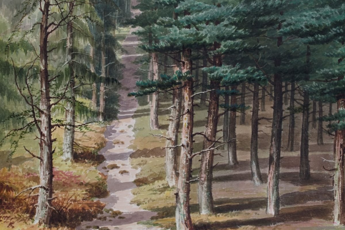 encargos de arte de paisajes naturales y serenos.